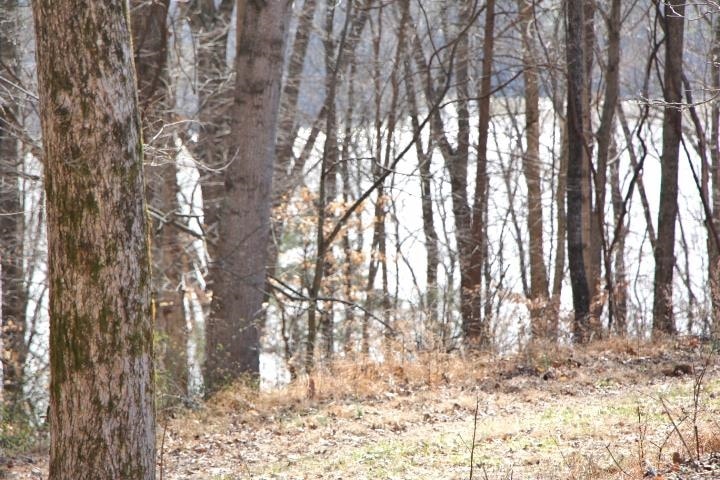 Lots 26 & 27 Cherokee Rd, Lucas, KY 42156 - photo 1