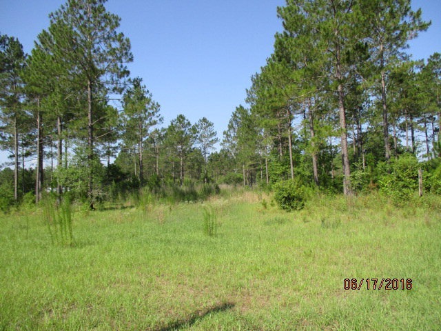 00 Tempy Rd, Sylvester, GA 31791 - photo 1