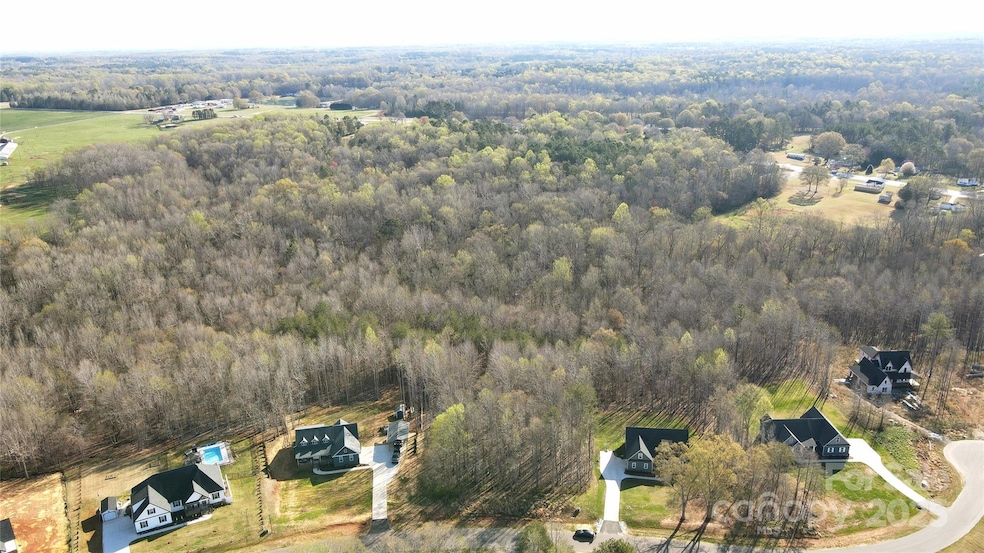 4255 Brandy Creek Ct, Clover, SC 29710 - photo 1