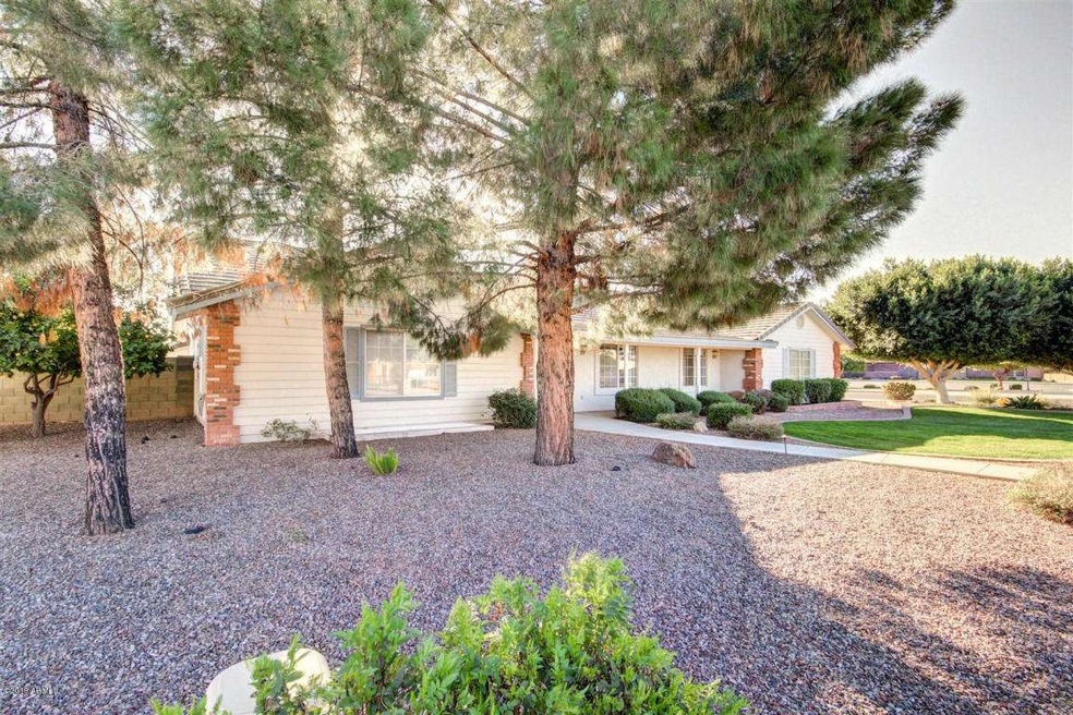 brick and stucco mature trees