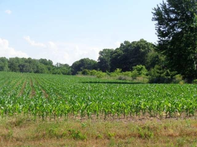 land