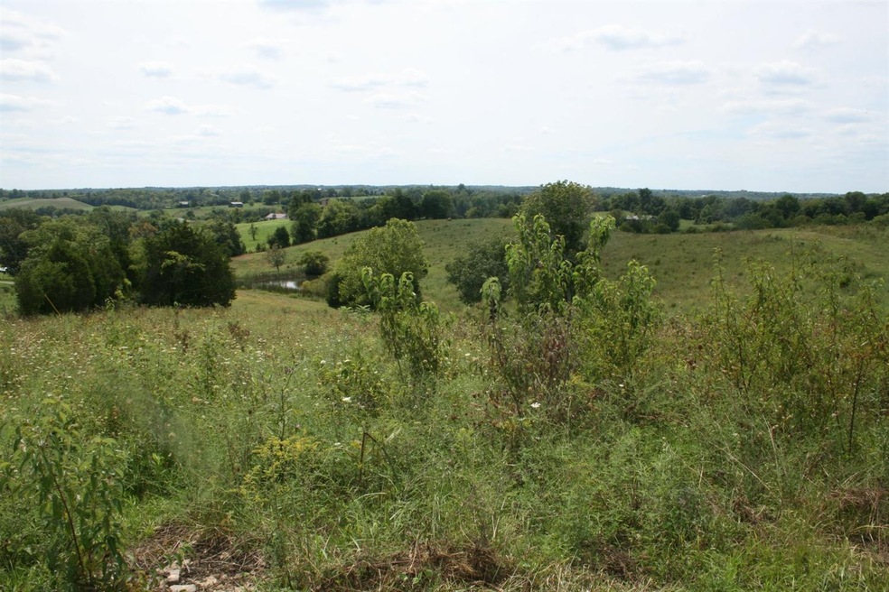 966 Manns Rd, Harrodsburg, KY 40330 - photo 1