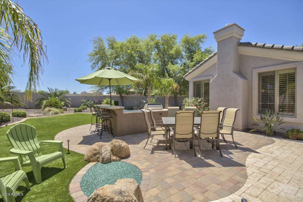 Backyard Paradise!