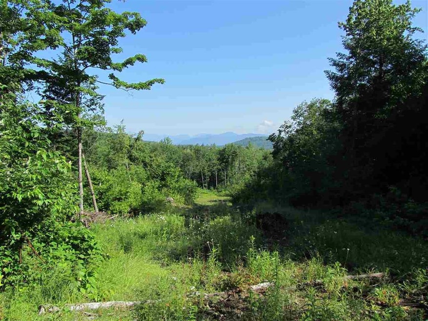 0 Stewart Foss Mountain Rd unit 13,21.22 4761929, Eaton, NH 03832 - photo 1