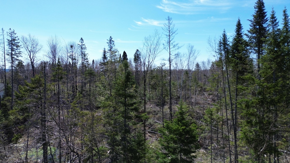 Lot 31C B Rd, Houlton, ME 04730 - photo 1