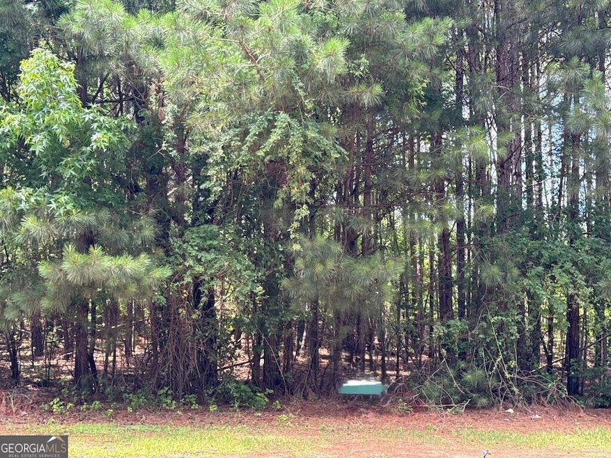 4309 Giverney Blvd, Fairburn, GA 30213 - photo 1