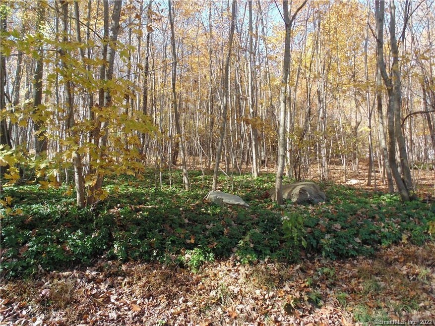 69 Ashford Rd, Ashford, CT 06278 - photo 1