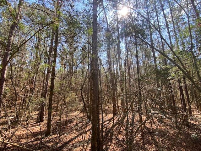 1064 Taylor Rd, Osyka, MS 39657 - photo 1