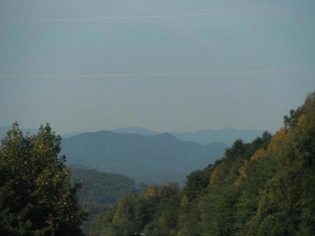 Main View