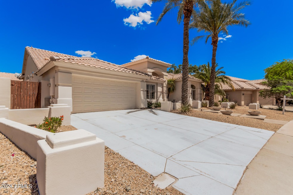 02 - Desert Broom 3162