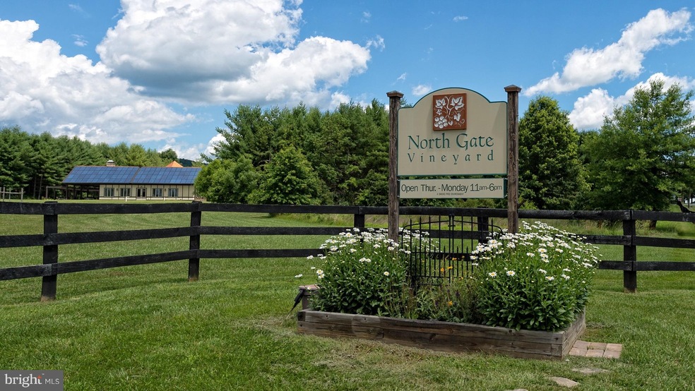 16110 Mountain Ridge Ln, Hillsboro, VA 20132 - photo 1