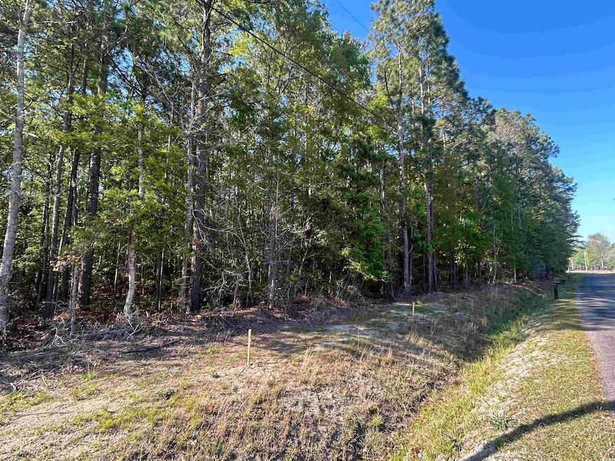 TBD Buck Dr, Georgetown, SC 29440 - photo 1
