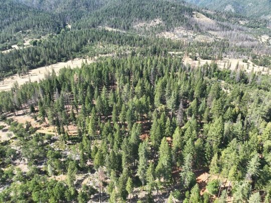 159 Buck, Hayfork, CA 96041 - photo 1