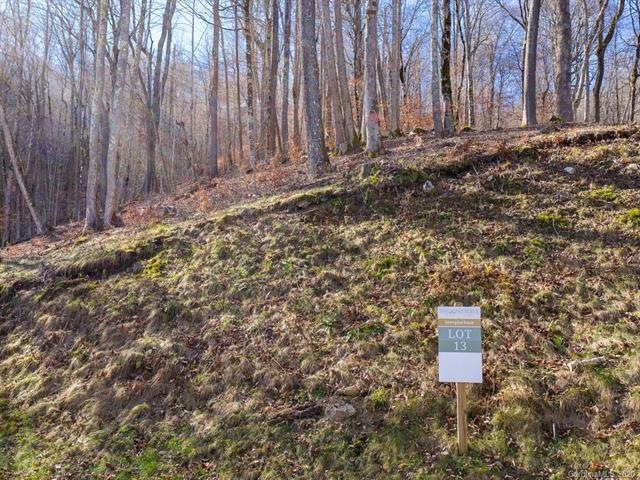 999 Mountain Gait Dr unit 13, Mars Hill, NC 28754 - photo 1