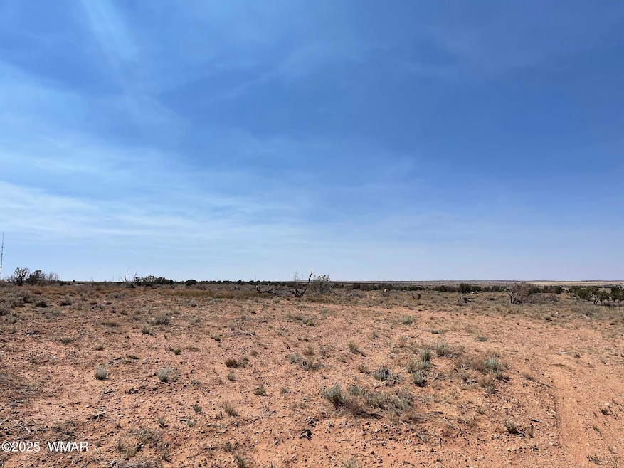 Parcel A Arizona 77, Snowflake, AZ 85937 - photo 1