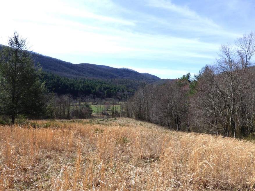 0 Alto Rd unit 342956, Vesuvius, VA 24483 - photo 1