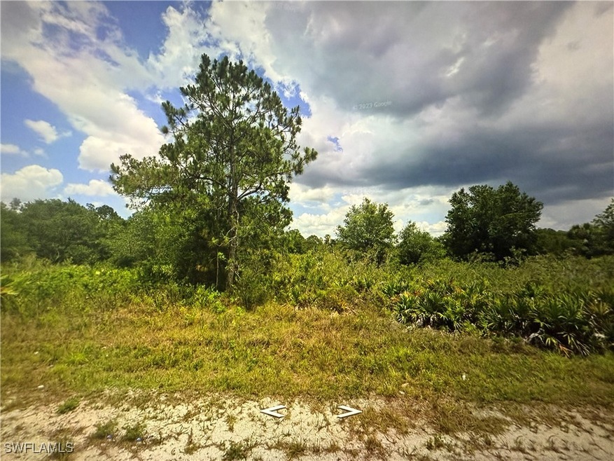 View of local wilderness