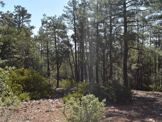 1675 S Pleasant View Dr, Show Low, AZ 85901 - photo 1