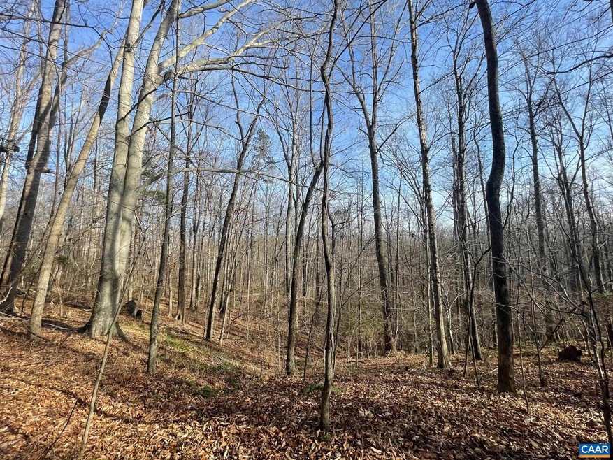 TBD Sage Ct, Fray 'S Grant, VA 22936 - photo 1