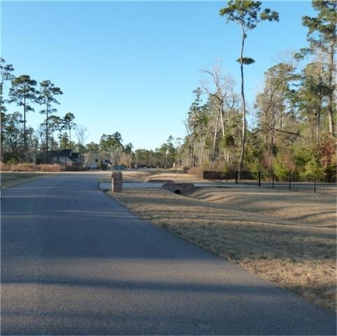 1049 Autumnwood Dr, Magnolia, TX 77354 - photo 1