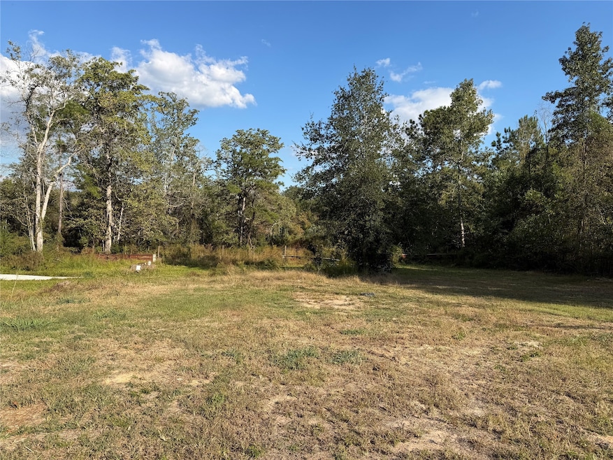 720 Brown Rd, Cleveland, TX 77328 - photo 1
