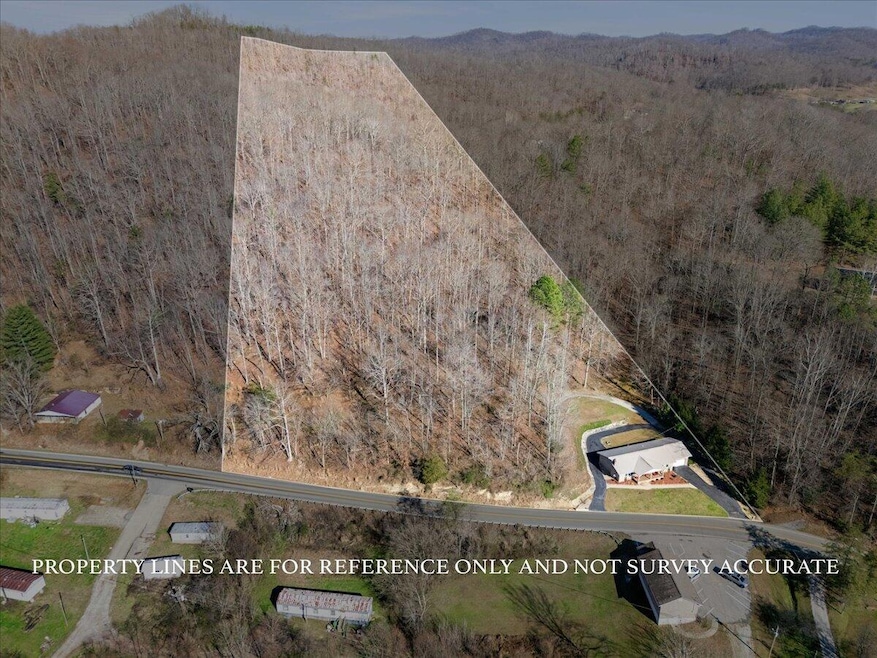 5318 Kentucky 1304, Hinkle, KY 40953 - photo 1