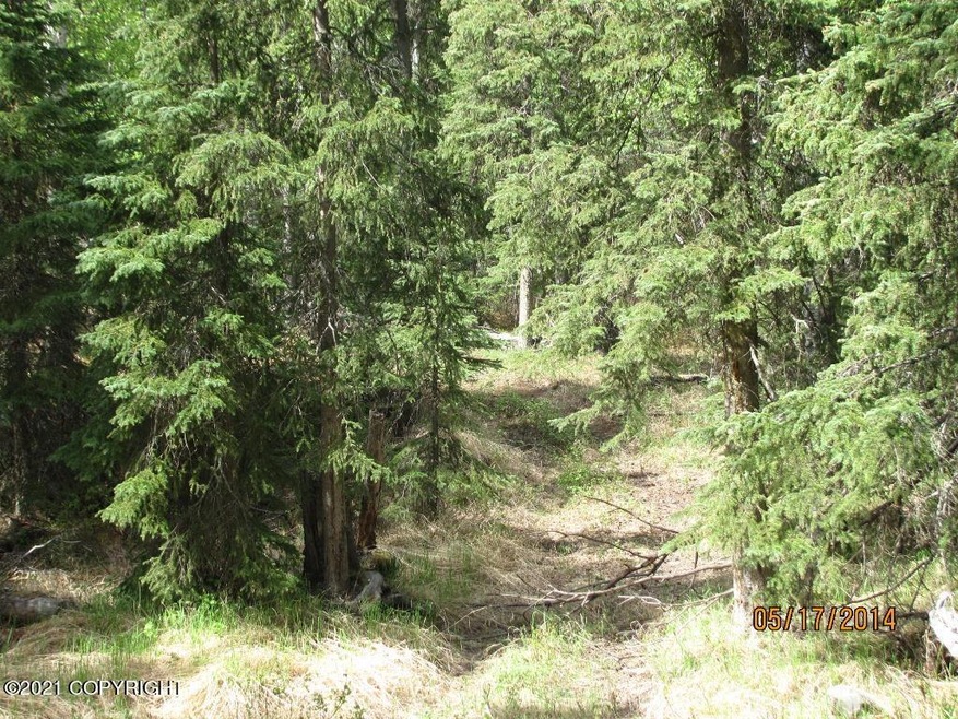 trees