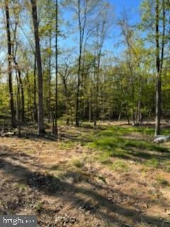0 Magnolia unit WVMO2001622, Paw Paw, WV 25434 - photo 1