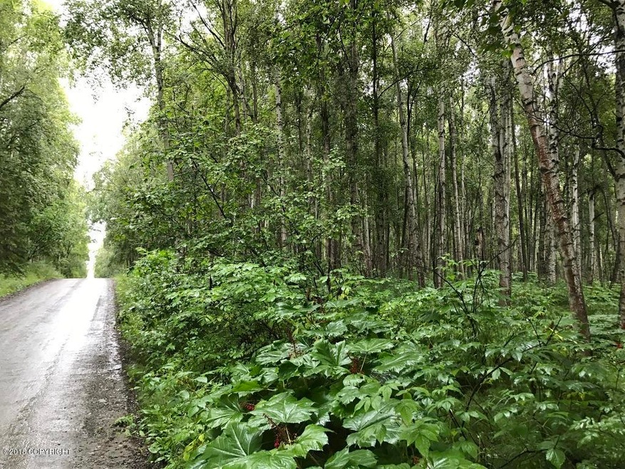 Road Frontage