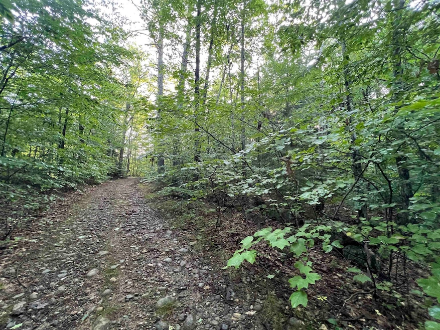 Map 6, Lot 38 Chadwick Hill Rd, Webster, NH 03303 - photo 1