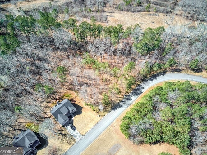 263 Principal Meridian Dr, Dallas, GA 30132 - photo 1