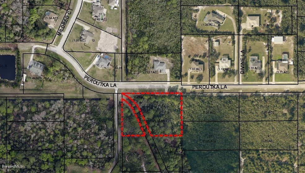 24326818_BrevardCounty.jpg