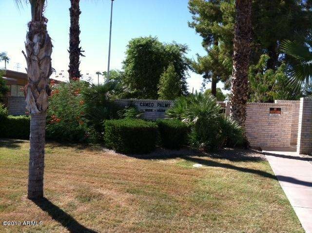 photo (7)