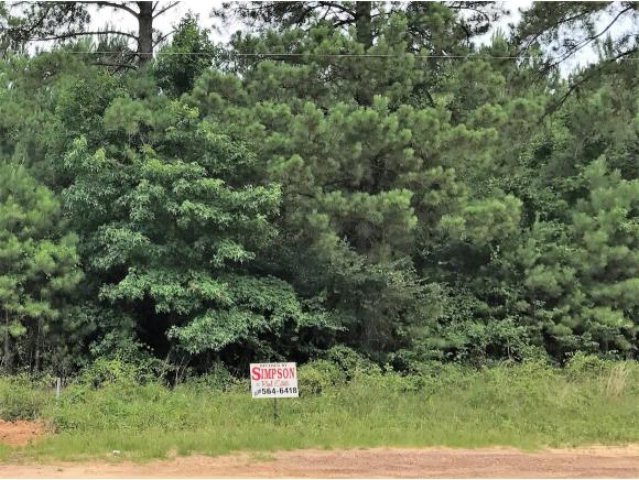 10 Acres Rangel Rd, Nacogdoches, TX 75964 - photo 1