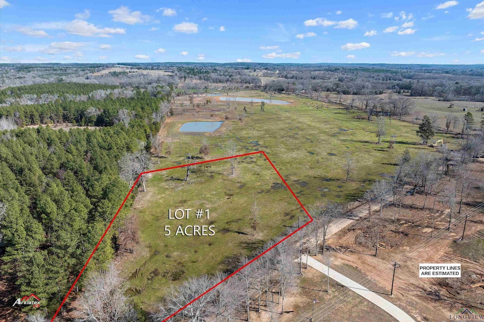 Aerial view of sparsely populated area with property parcel outlined and a heavily wooded area