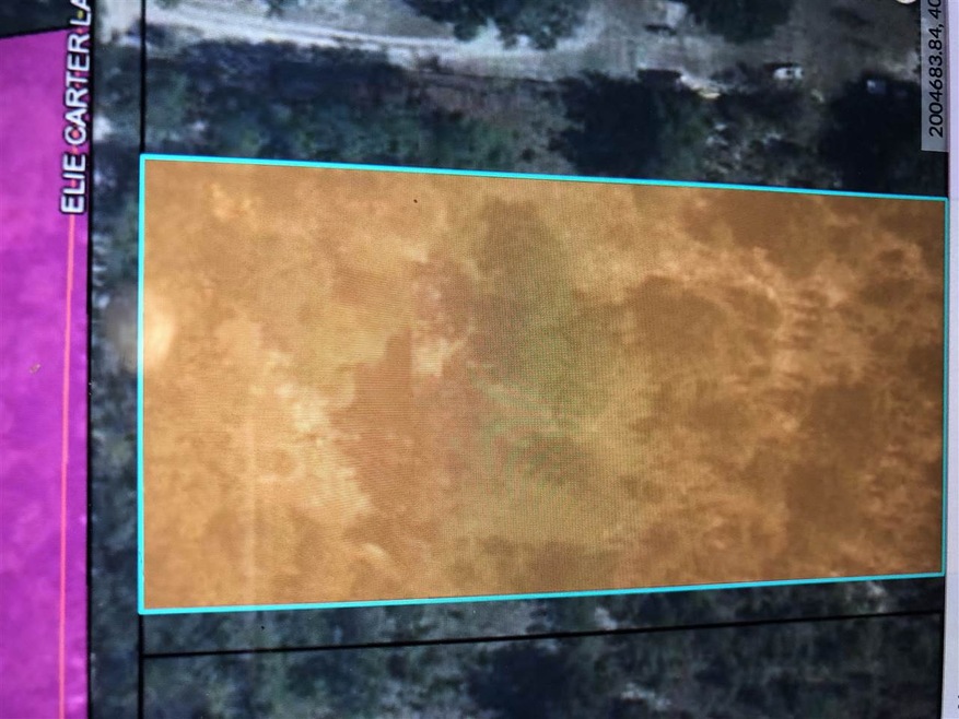 73 Elie Carter Ln, Crawfordville, FL 32327 - photo 1