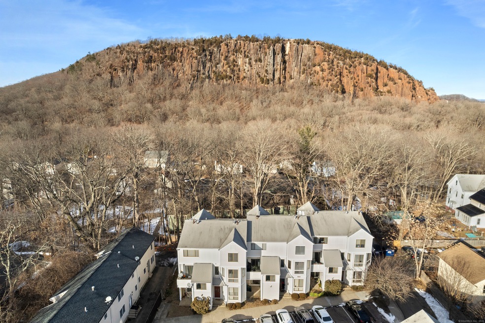 999 Whalley Ave unit 1F, New Haven, CT 06515 - photo 1