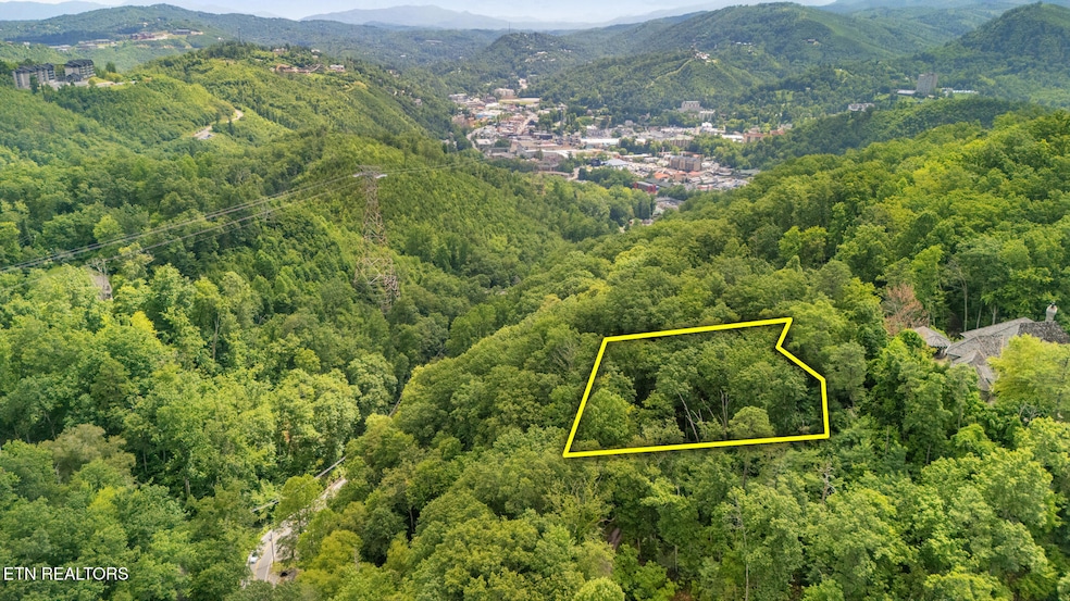 Lot 6 Ski Mtn Rd, Gatlinburg, TN 37738 - photo 1