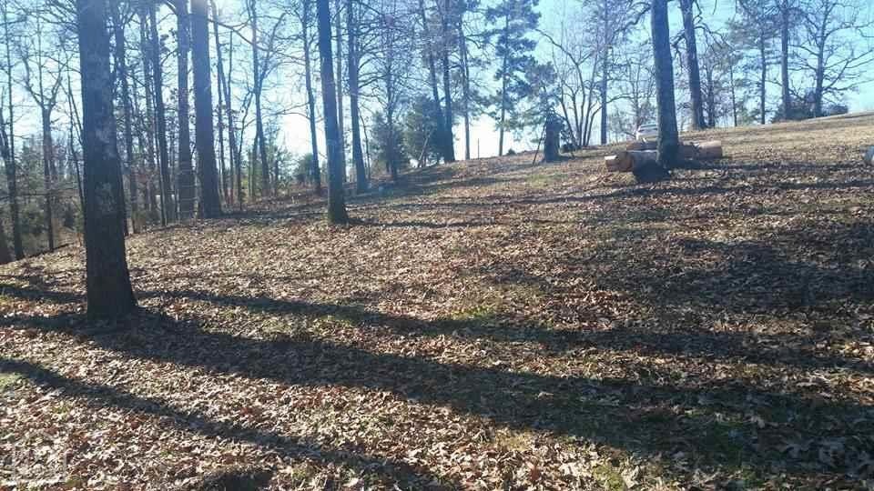 1568 Greene 626 Rd, Paragould, AR 72450 - photo 1