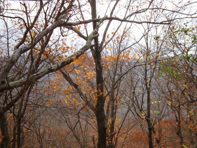 5045 Madison 5185, Elkins, AR 72727 - photo 1