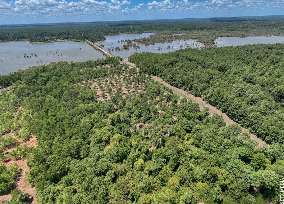 010 Farm To Market Road 83 unit Lot 10, Broaddus, TX 75929 - photo 1