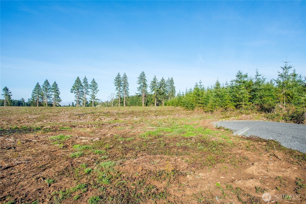 133 Beckett Ln, Chehalis, WA 98532 - photo 1