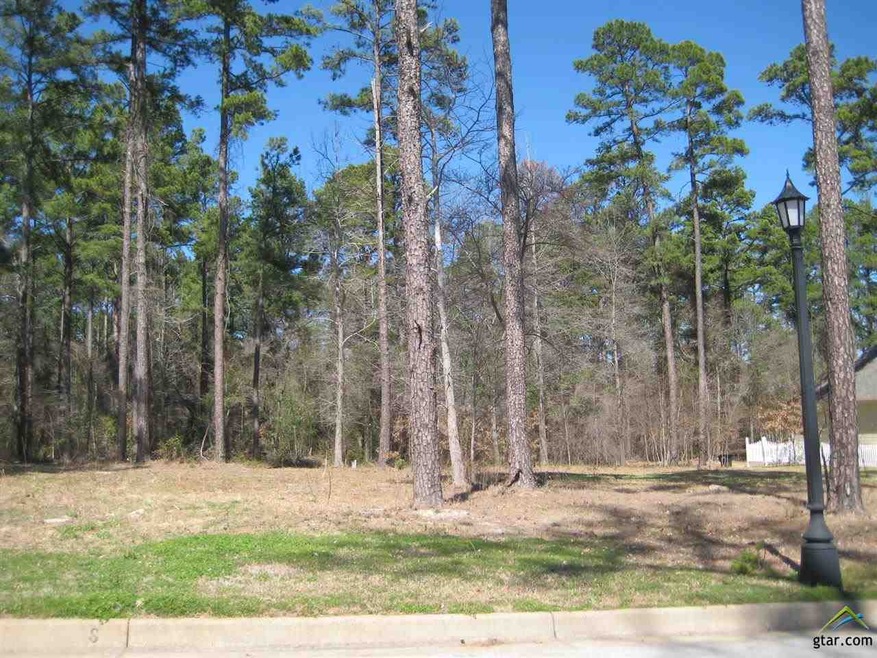 3992 Spartanburg, Tyler, TX 75701 - photo 1