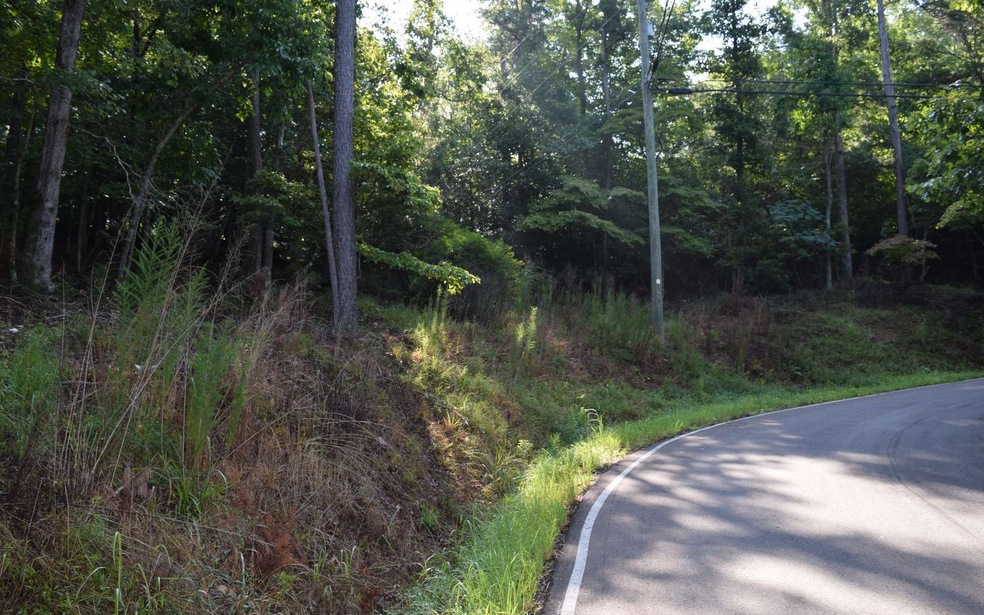 Lt907 Matrix Ln, Ellijay, GA 30540 - photo 1