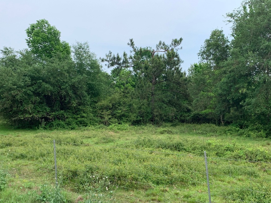 Lot 26 County Road 160, Alvin, TX 77511 - photo 1