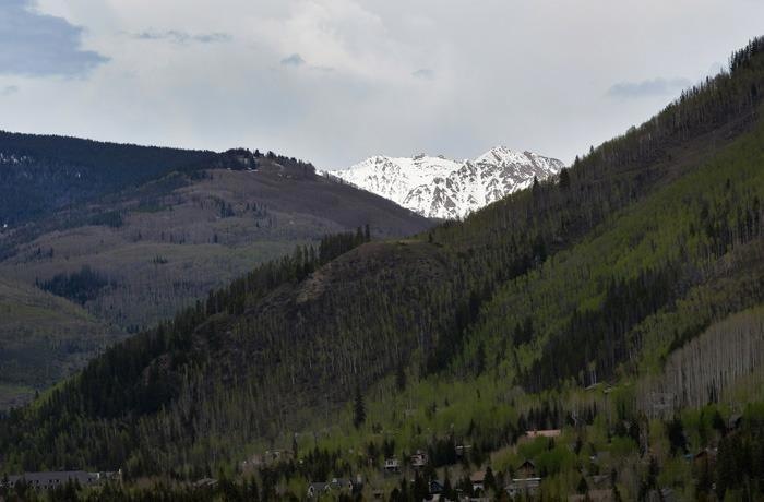 View
