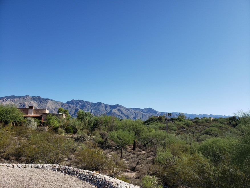 Lot 517 Mountain View facing NE