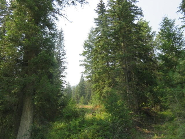 80 acres
