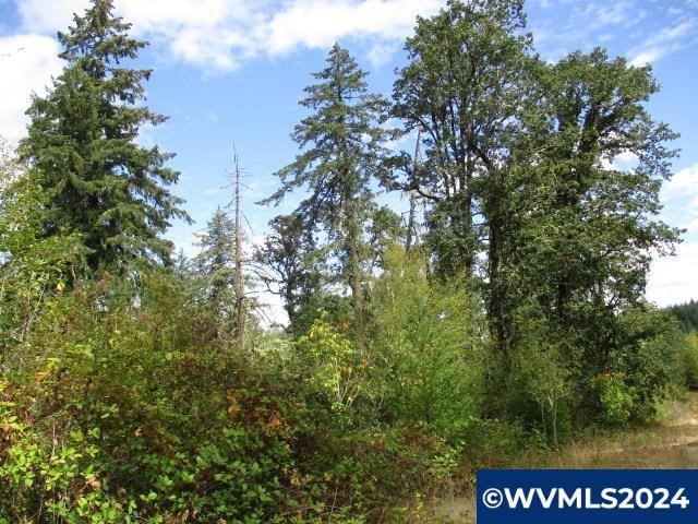 00 Bellinger Scale (2) Rd, Lebanon, OR 97355 - photo 1