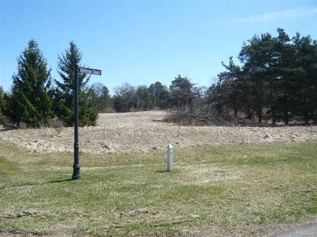 Wildrose 134a.JPG